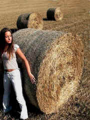 kliknij, aby powikszy