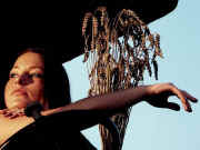 kliknij, aby powikszy