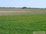 kliknij, aby powikszy