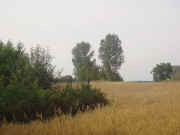 kliknij, aby powikszy