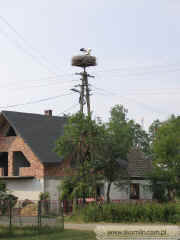 kliknij, aby powikszy
