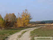 kliknij, aby powikszy
