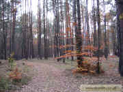 kliknij, aby powikszy