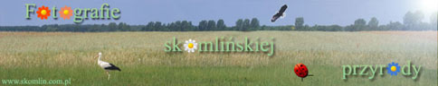 zobacz koniecznie