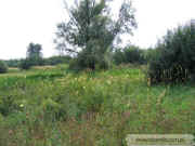 kliknij, aby powikszy