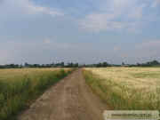 kliknij, aby powikszy