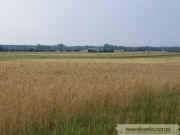 kliknij, aby powikszy