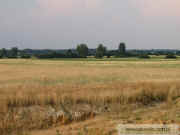 kliknij, aby powikszy