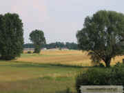 kliknij, aby powikszy