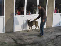 kliknij, aby powikszy