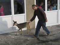 kliknij, aby powikszy