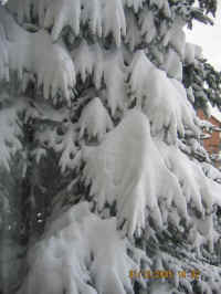 kliknij, aby powikszy